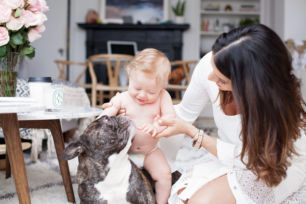 My experience of having a baby and pet NYC mom dog